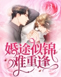 婚途似锦难重逢