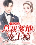 一胎双胞:总裁爹地宠上瘾