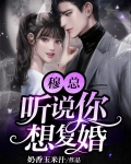 穆总,听说你想复婚!