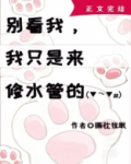 别看我，我只是来修水管的！
