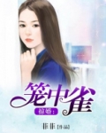 掠婚：笼中雀