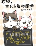 老板,你只是素材库啦