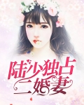 陆少独占二婚妻