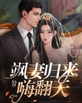 飒妻归来嗨翻天