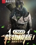 CSGO:载物模版!