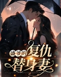 盛爷的复仇替身妻