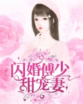 闪婚傅少甜宠妻