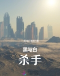 黑与白:杀手