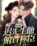 娇瘾:迟先生他俯首称臣