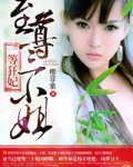 一等狂妃,至尊三小姐