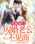 误嫁豪门,闪婚老公不见面