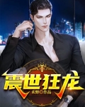 震世狂龙