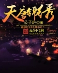 天唐锦绣小说