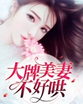 大牌美妻不好哄