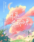 月亮奔我而来