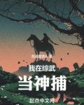 我在综武当神捕