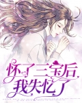 怀了三宝后我失忆了