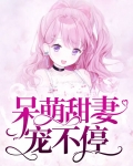 呆萌甜妻宠不停