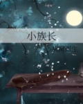 小族长