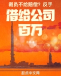裁员不给赔偿？反手借给公司百万