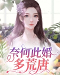 奈何此婚多荒唐
