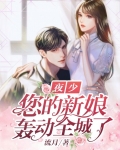 夜少,您的新娘轰动全城了