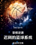 草根逆袭:迟到的篮球系统