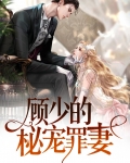 顾少的秘宠罪妻