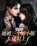 四年后，她被三个缩小版大佬盯上了