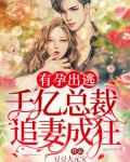有孕出逃:千亿总裁追妻成狂