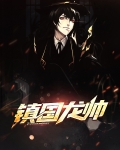 镇国龙帅