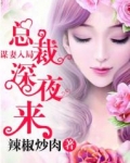 谋妻入局:总裁深夜来