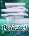 极光之意