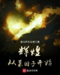 辉煌从菜园子开始